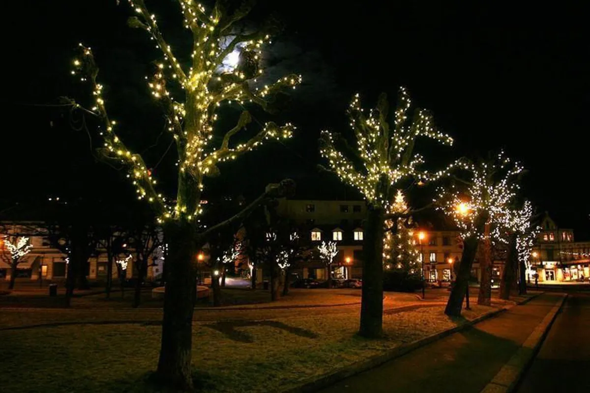 Juletrelys & Lysslynger>Trend Collection Utbygging Led slynge 50 lys 5,2 meter Svart