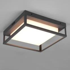 Kjøkkenbelysning Tak|Baderomsbelysning Tak>Trio Lighting Witham taklampe - Antrasitt